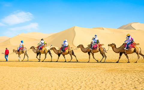 跟团旅游 跟团旅游